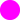 FLUOR FUCHSIA