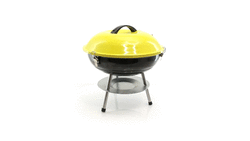 Barbecue Vissla